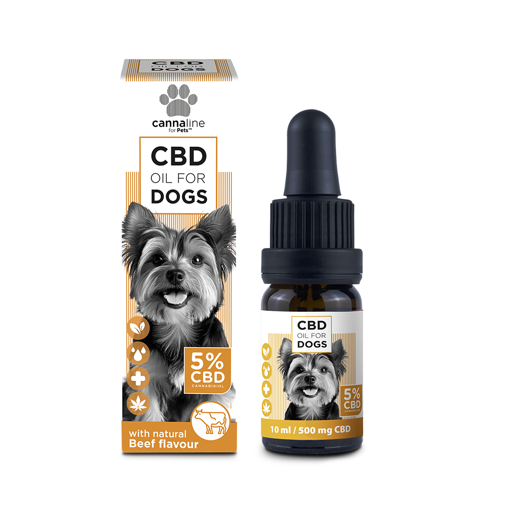Cannaline CBD Öl für kleine Hunde – Sanfte Unterstützung für deinen Vierbeiner