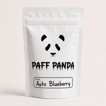 Auto Blueberry (feminisiert)