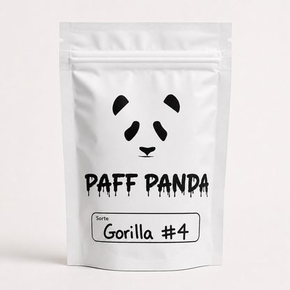 Gorilla 