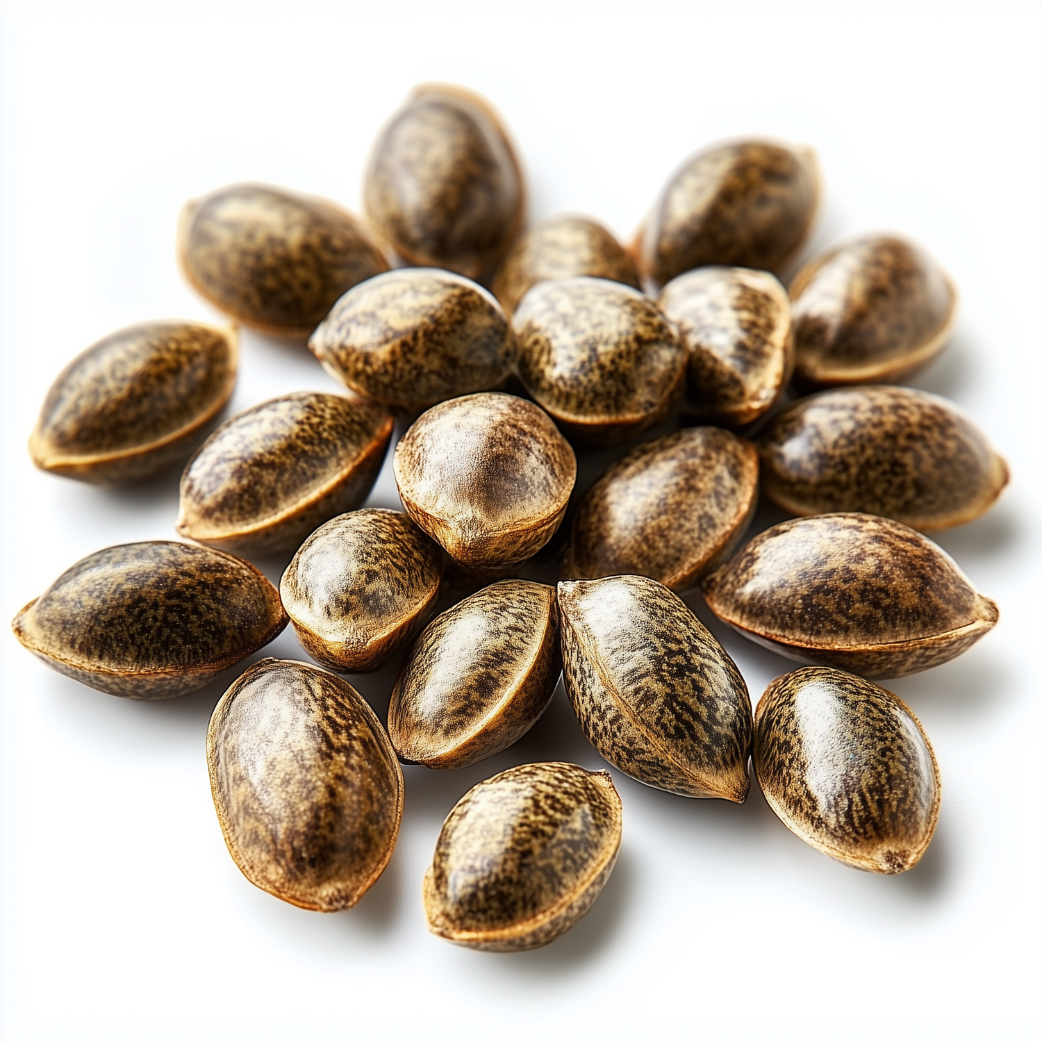 Cannabis seeds