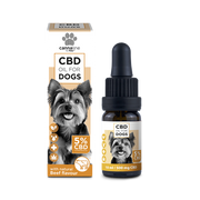 Cannaline CBD Öl für kleine Hunde – Sanfte Unterstützung für deinen Vierbeiner